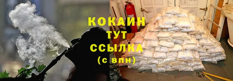 COCAIN Fish Scale  Камышлов 